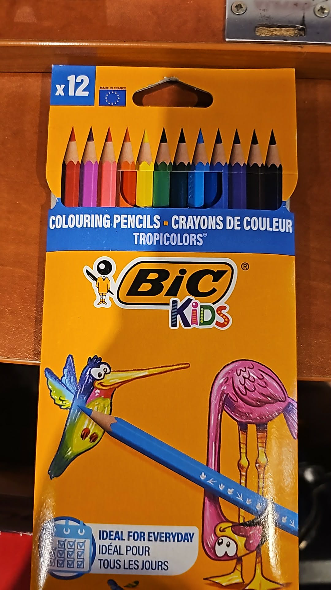 Kredki BiC kids x12 